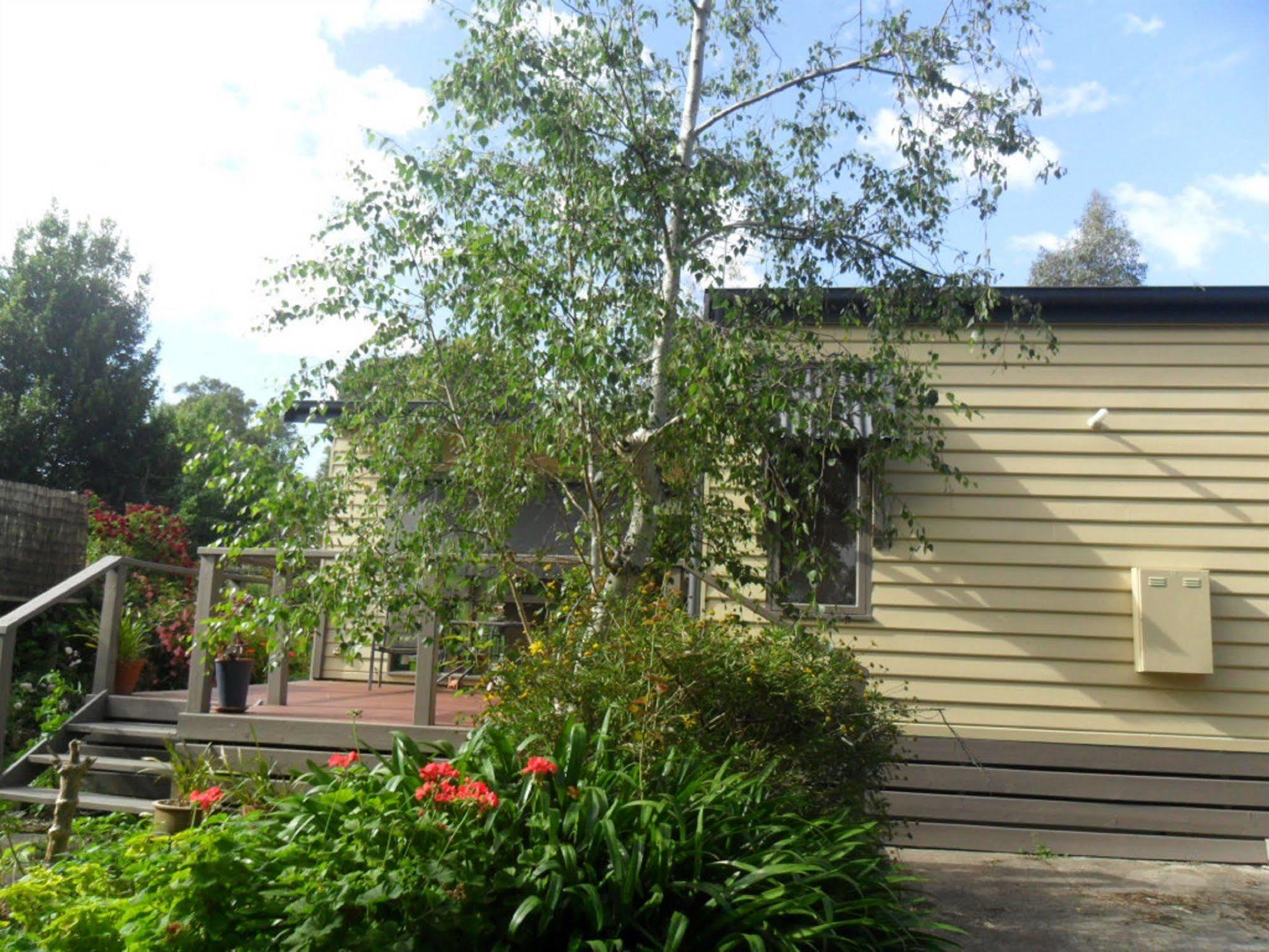 Australian Home Away @ Wonga Park Brushy Creek Extérieur photo