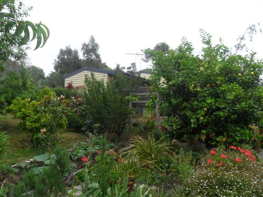 Australian Home Away @ Wonga Park Brushy Creek Extérieur photo